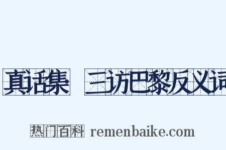 真话集·三访巴黎反义词是什么意思的图片